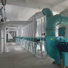 300 tpd modern wheat flour plant
